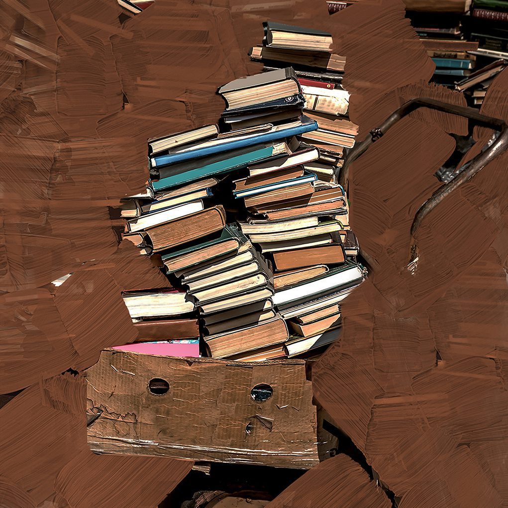 Bibliothèque - Image 2