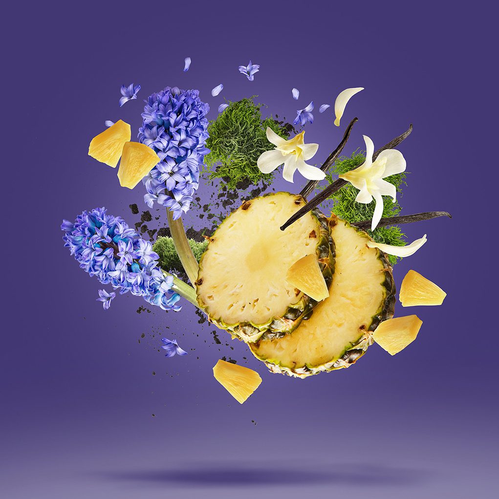 Purple Accento - Image 2