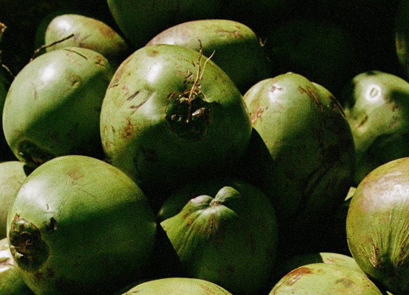 BYREDO New Perfumes in Perfume Shop GALOP in Vienna