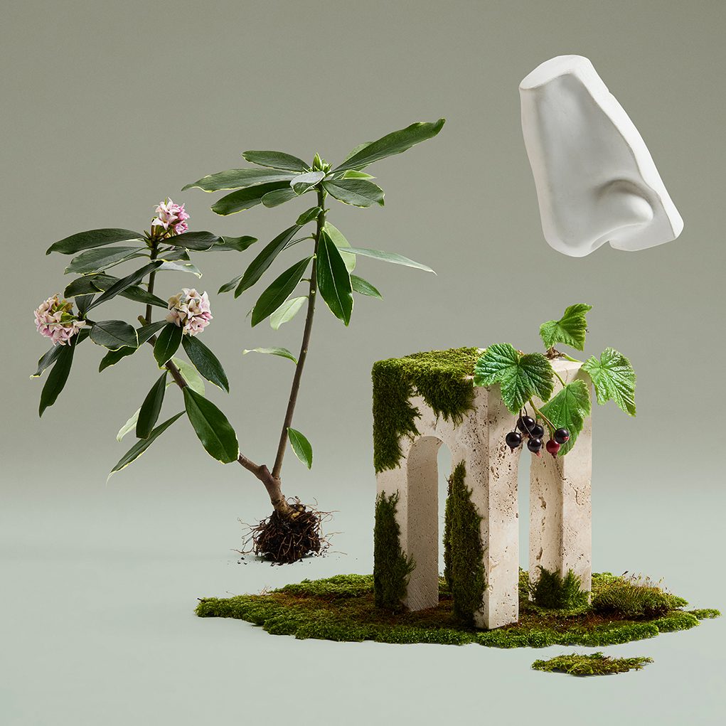 Daphne Bouquet - Image 2