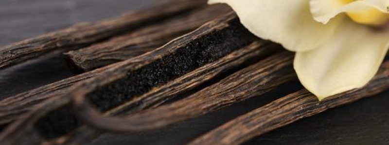 Vanilla pods Vanilla pods